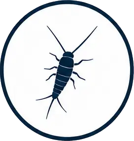 Rybiki cukrowe